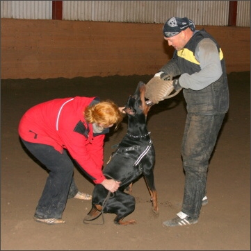 Training in Estonia 11/2007